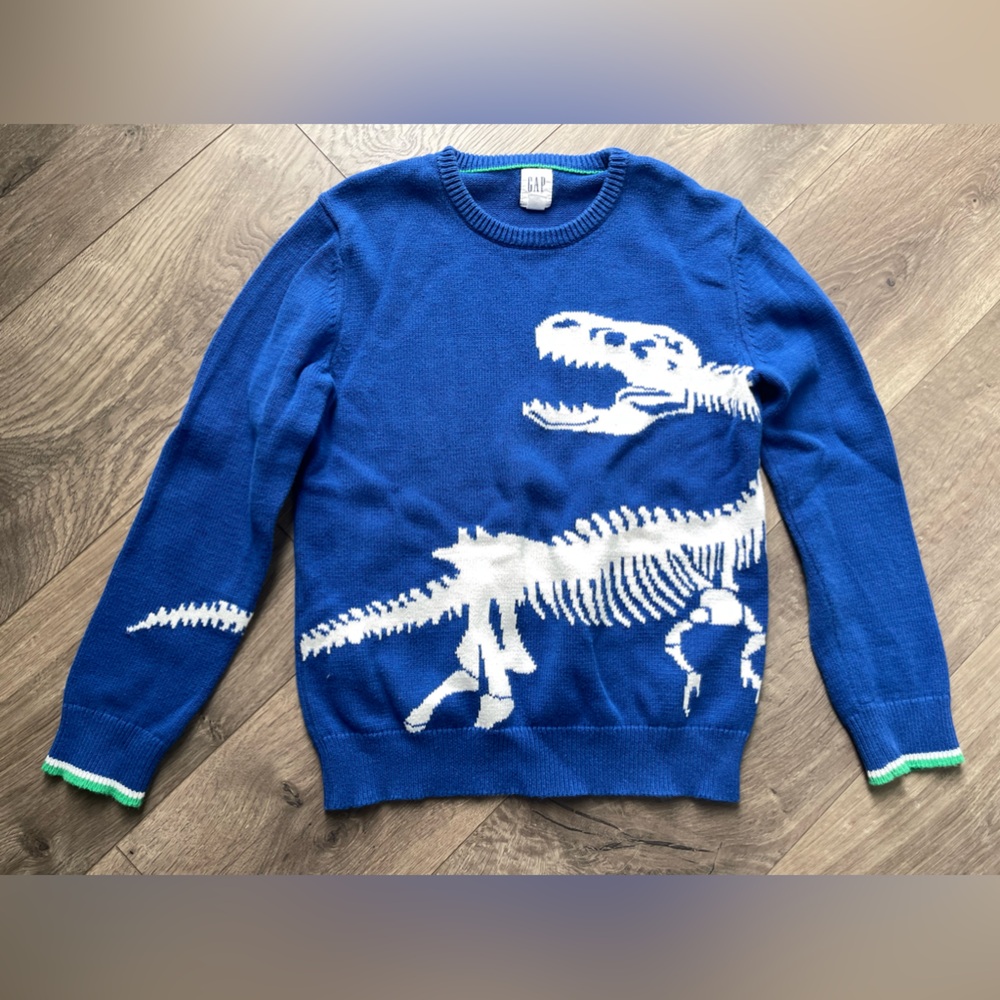 GAP Boys sweater